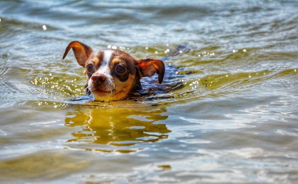Le guide du camping-cariste débutant : étapes à suivre pour votre premier voyage