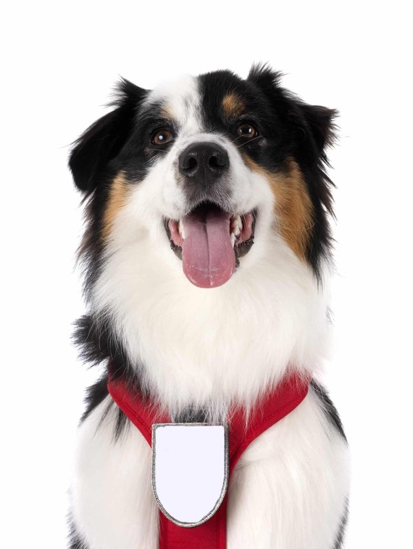 les accessoires indispensables pour personnaliser sa moto